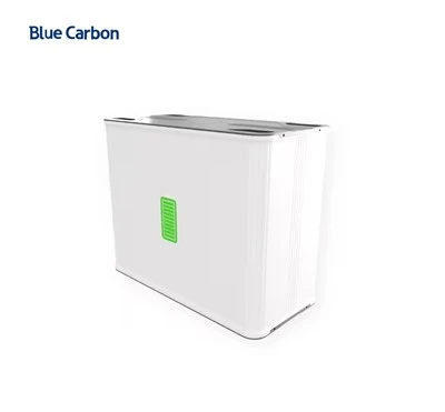 Blue Carbon LiFePO4 batteripaket 48V 200Ah, 250Ah, 300Ah med prismatisk battericell och BMS inbyggd