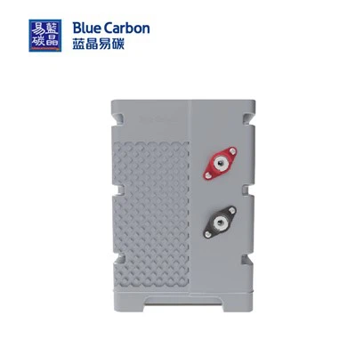 Blue Carbon-tillverkaren LiFePo4 batteripaket för 5 års garanti